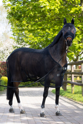 Fly Hood + Halter Black