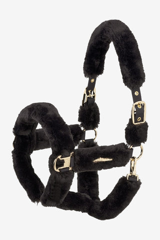 Kantar z owczej skóry Complete Heritage AW25 Black Truffle