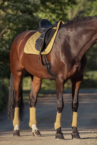 Schabracke Glossy Heritage AW25 Cardamom