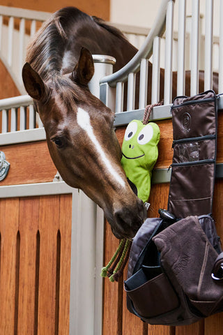 Organizer Grooming Bag Platinum SS24