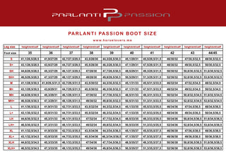Passion Reitstiefel Kent MH+