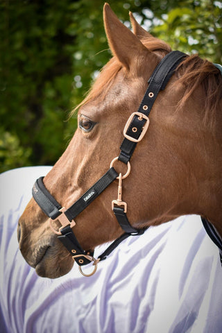 Licol Svensk Ridsport