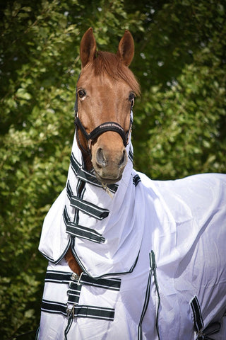 Licol Svensk Ridsport