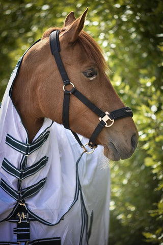 Licol Svensk Ridsport