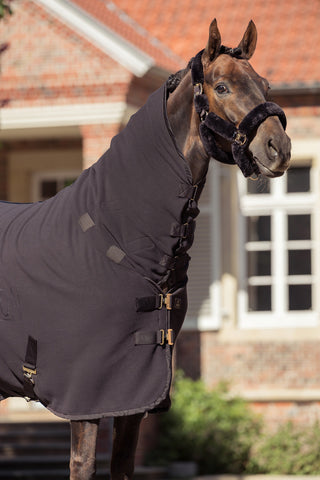 Sheepskin Halter Complete Heritage AW25 Black Truffle