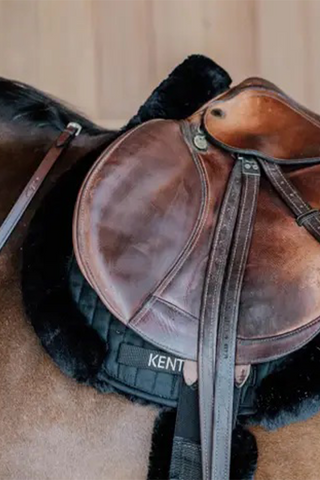 Hunterschabrak Fårskinn