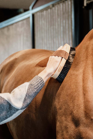 Twarda szczotka do czyszczenia