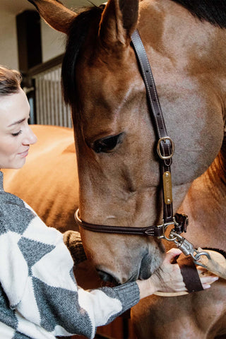 Twarda szczotka do czyszczenia