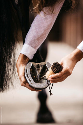 Mały kopystka do kopyt