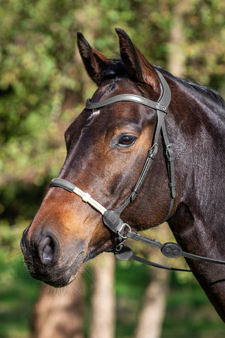 Ogłowie Bez Wędzidła La Cense