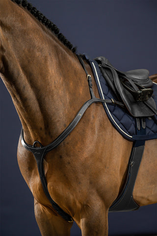 Vorderzeug mit langem, verstellbarem Steg Dyón Collection