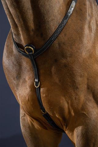 Brustgurt mit Brücke Dyon Collection Braun