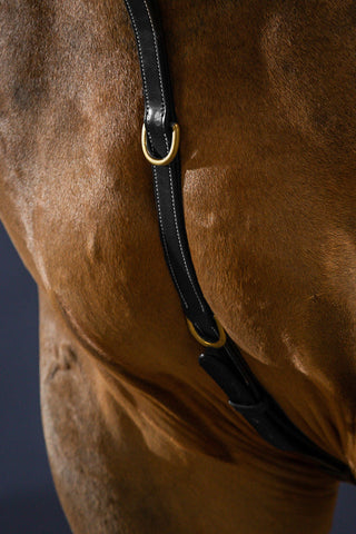 Brustgurt mit Brücke Dyon Collection Braun