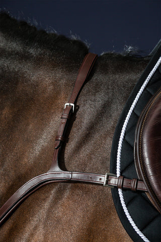 Borsttuig met Lange Brug