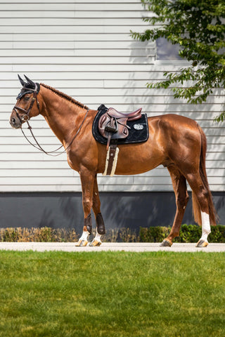 Corduroy Hoppschabrak