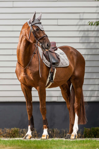 Corduroy Hoppschabrak