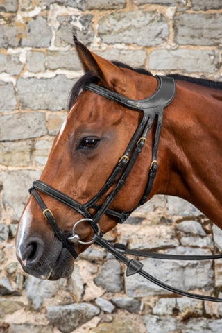 Difference Träns Kombinerad Nosgrimma Dyon Collection Brun