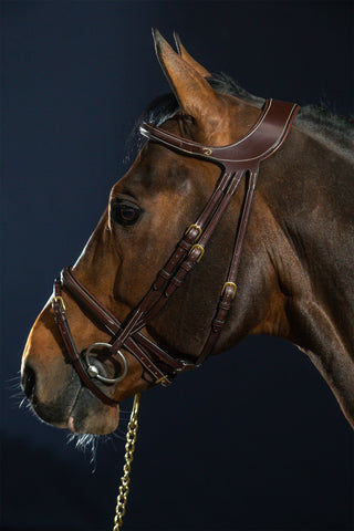 Difference Träns Kombinerad Nosgrimma Dyon Collection Brun