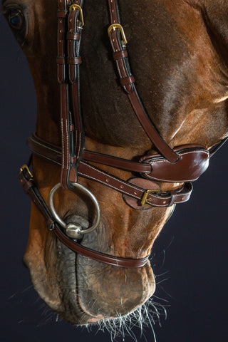 Difference Träns Kombinerad Nosgrimma Dyon Collection Brun