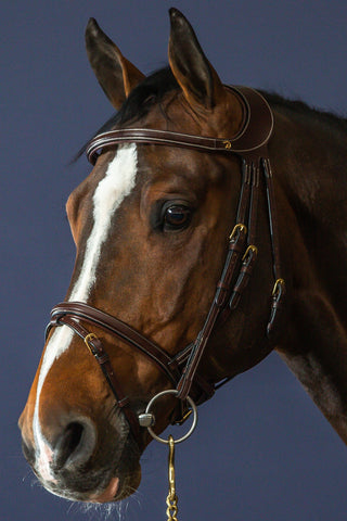 Difference Träns Kombinerad Nosgrimma Dyon Collection Brun