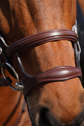 Double Noseband New English Brown