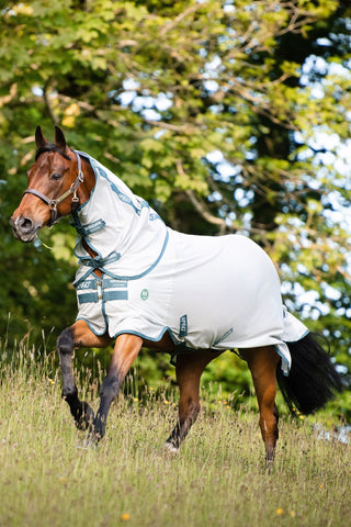 Amigo AmEco Fliegendecke