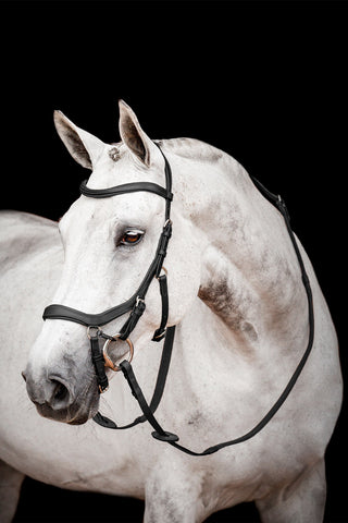 Rambo Micklem 2 Competition mit Zügeln