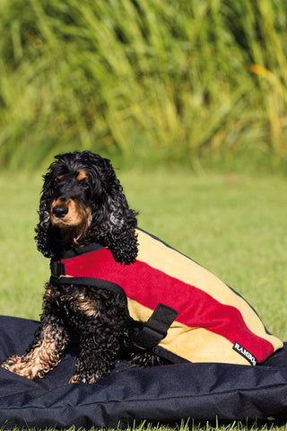 Rambo Deluxe Hundedækken
