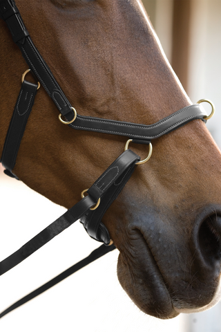 Rambo Micklem Träns Multi