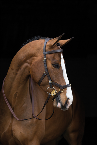 Rambo Micklem Träns Multi