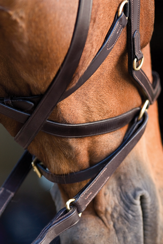 Rambo Micklem Träns Multi