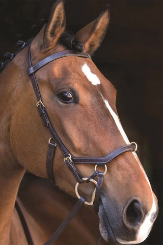 Rambo Micklem Träns Multi