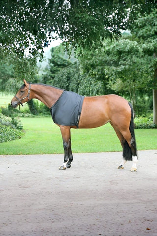 Back On Track Bogskydd