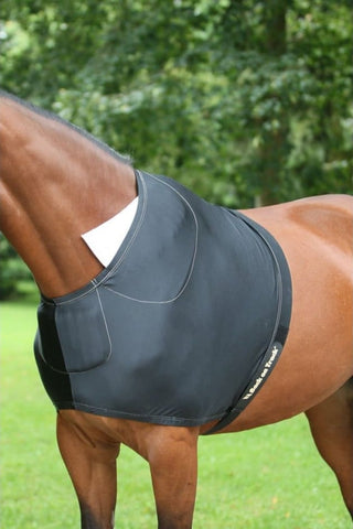 Back On Track Bogskydd