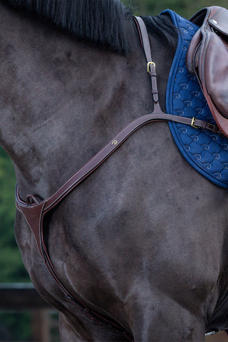 Vorderzeug mit langer Brücke