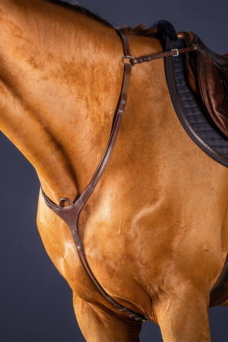 Brustgurt mit Brücke New English Braun