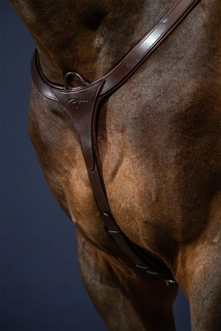 Vorderzeug mit langem Steg New English Braun