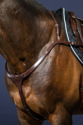 Vorderzeug mit langem Steg New English Braun