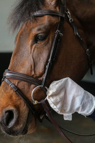 Rękawica do czyszczenia sprzętu Belvoir