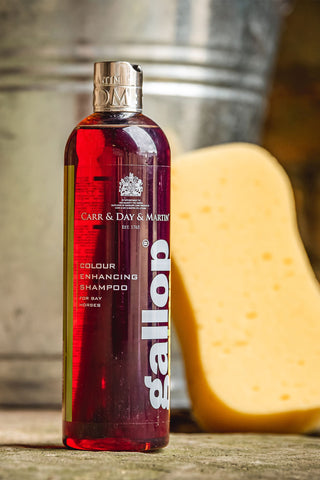 Gallop Shampoo