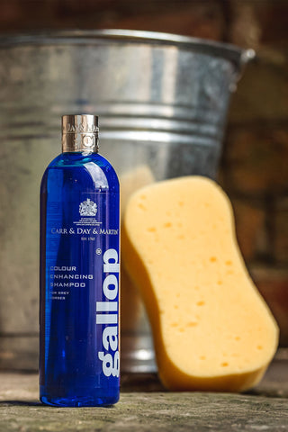 Shampoo for Grey Horses