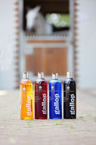 Shampoo for Grey Horses