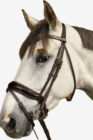 Dyón Dressyrträns Large Lack Kombinerad Nosgrimma Working