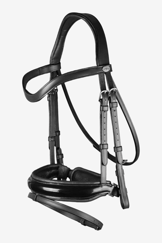 Dyón Dressyrträns Large Lack Kombinerad Nosgrimma Working