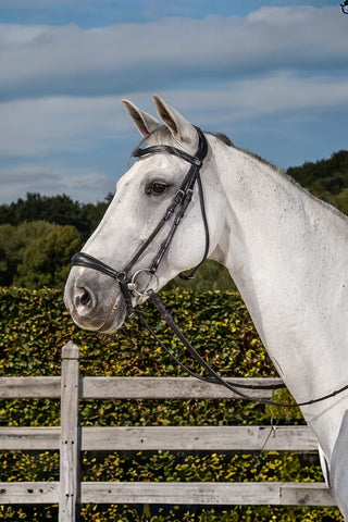 Dyón Dressyrträns Remont New English