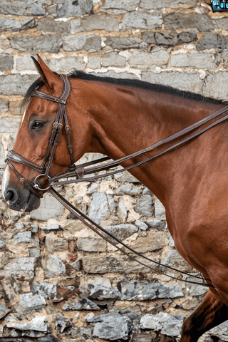 Dyón Gramantygel Läder m Fäste Dyon Collection