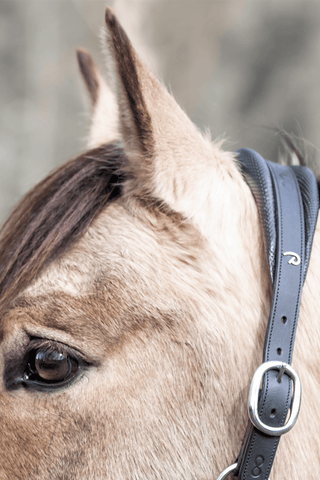 Kantar 2-w-1 Natural La Cense