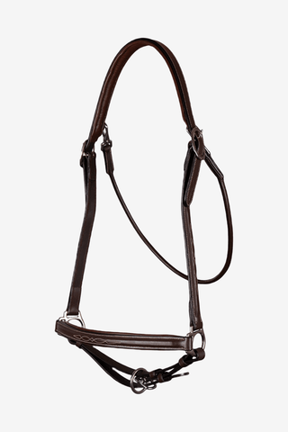 Dyón Grooming-Grimma Läder Working