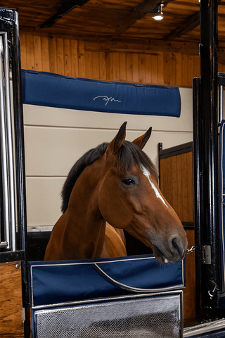 Dyón Huvudskydd För Box