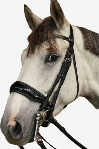 Dyón Kandar Bred Lackad Nosgrimma WO